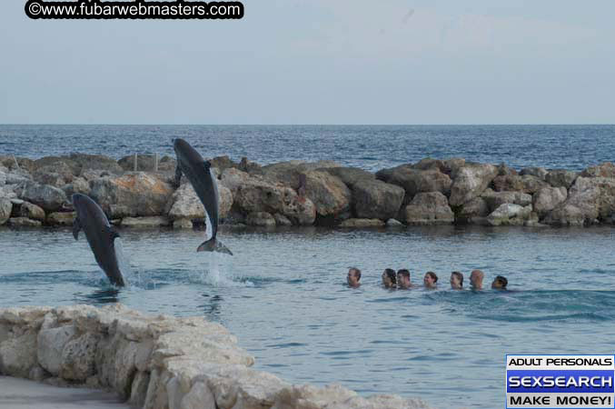 Local Billing Dolphin Encounter and Swim 2005