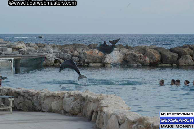 Local Billing Dolphin Encounter and Swim 2005