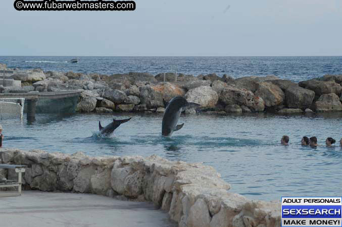 Local Billing Dolphin Encounter and Swim 2005