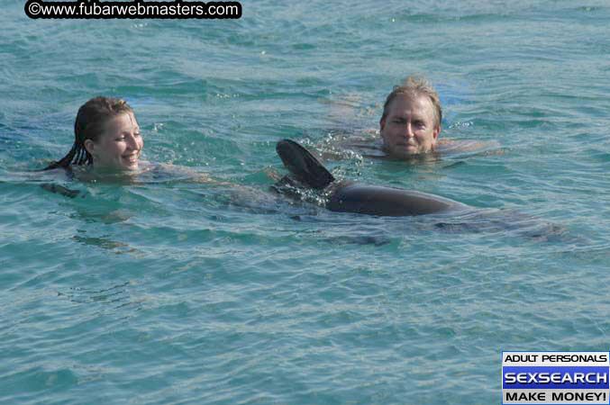 Local Billing Dolphin Encounter and Swim 2005