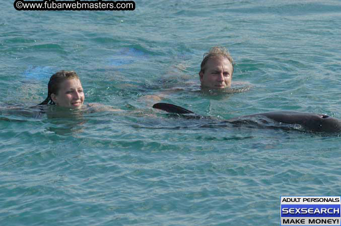 Local Billing Dolphin Encounter and Swim 2005