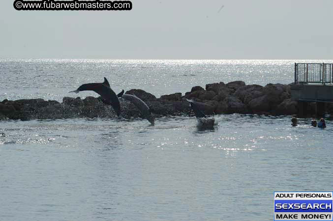 Local Billing Dolphin Encounter and Swim 2005