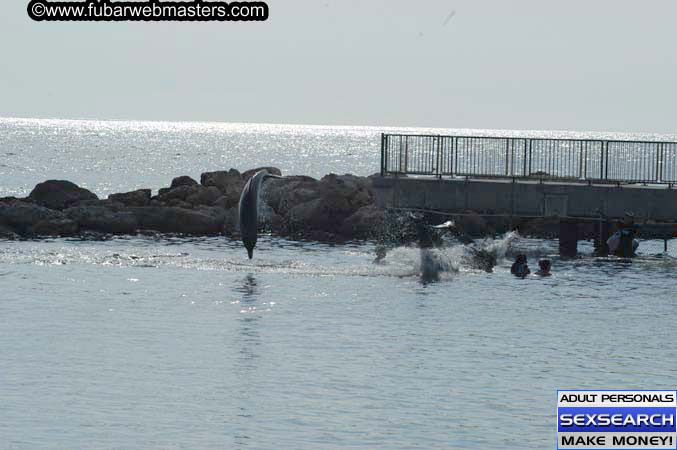 Local Billing Dolphin Encounter and Swim 2005