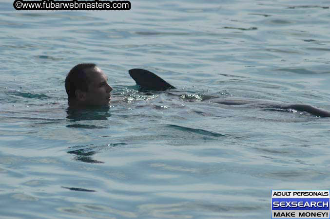 Local Billing Dolphin Encounter and Swim 2005