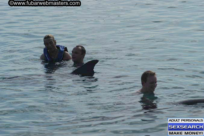 Local Billing Dolphin Encounter and Swim 2005