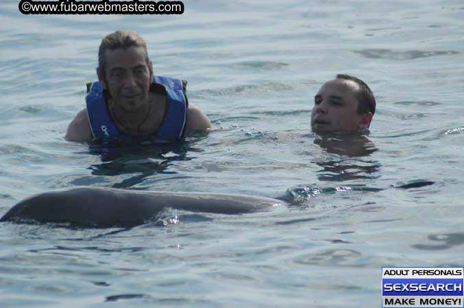 Local Billing Dolphin Encounter and Swim 2005