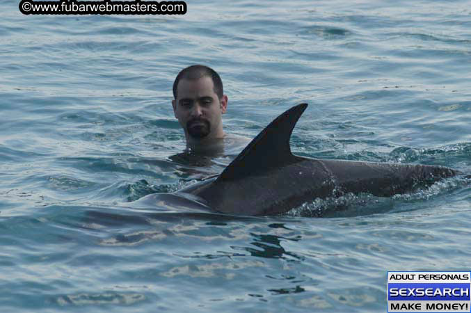 Local Billing Dolphin Encounter and Swim 2005