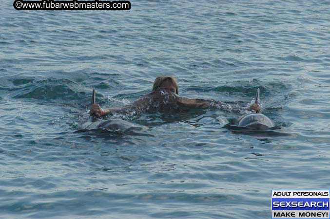 Local Billing Dolphin Encounter and Swim 2005