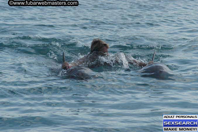 Local Billing Dolphin Encounter and Swim 2005