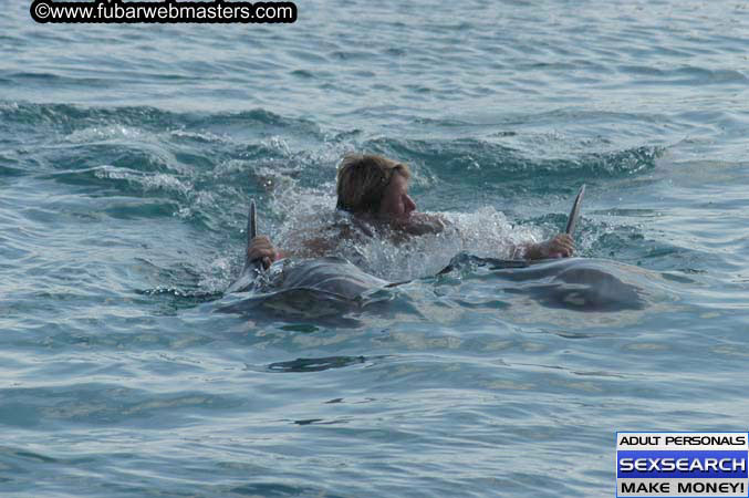 Local Billing Dolphin Encounter and Swim 2005