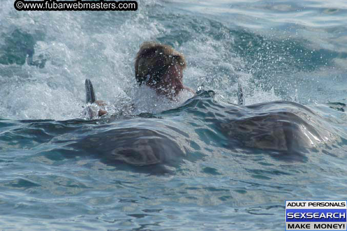 Local Billing Dolphin Encounter and Swim 2005