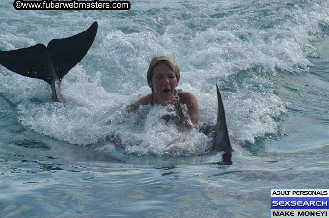 Local Billing Dolphin Encounter and Swim 2005