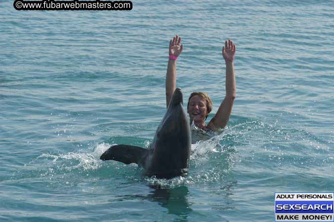 Local Billing Dolphin Encounter and Swim 2005