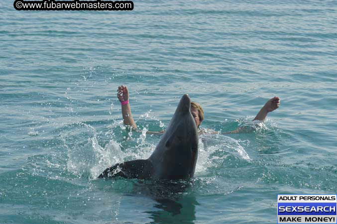 Local Billing Dolphin Encounter and Swim 2005