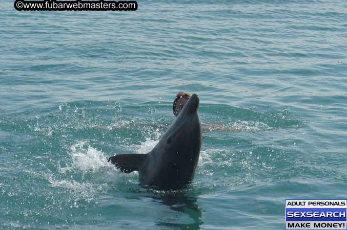 Local Billing Dolphin Encounter and Swim 2005