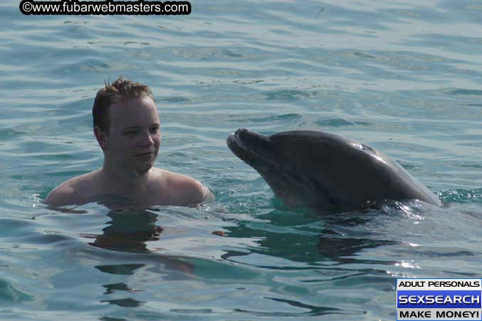 Local Billing Dolphin Encounter and Swim 2005