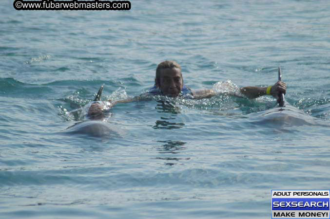 Local Billing Dolphin Encounter and Swim 2005