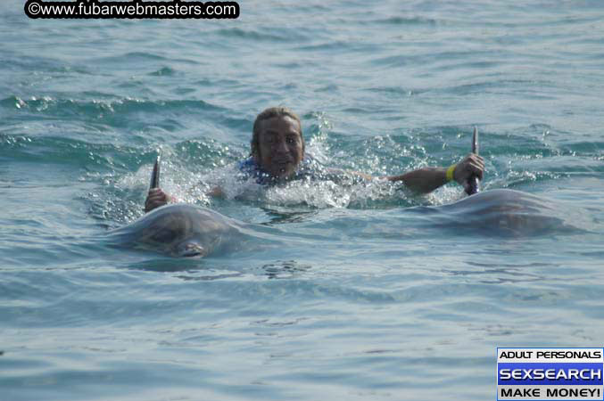 Local Billing Dolphin Encounter and Swim 2005