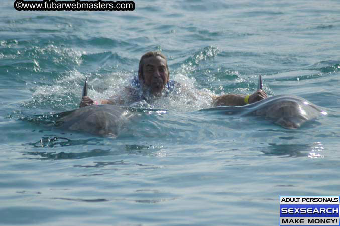 Local Billing Dolphin Encounter and Swim 2005