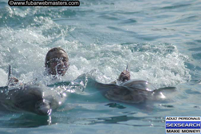 Local Billing Dolphin Encounter and Swim 2005