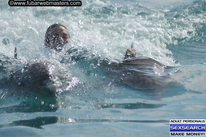 Local Billing Dolphin Encounter and Swim 2005