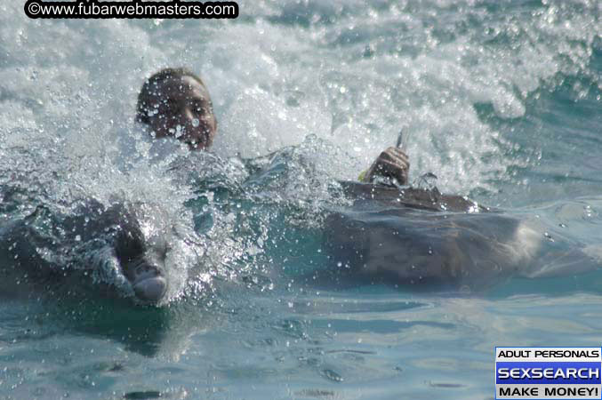 Local Billing Dolphin Encounter and Swim 2005