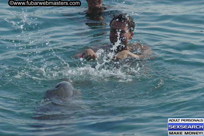 Local Billing Dolphin Encounter and Swim 2005