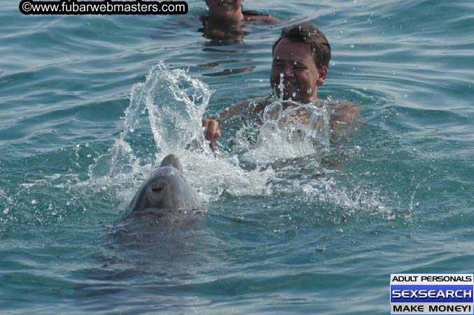 Local Billing Dolphin Encounter and Swim 2005