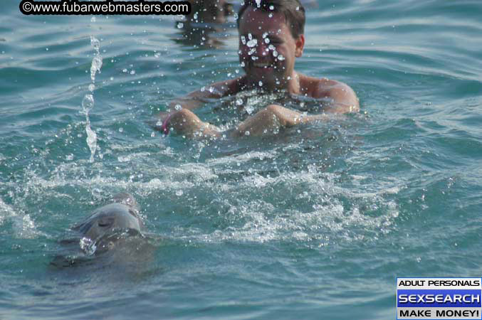 Local Billing Dolphin Encounter and Swim 2005