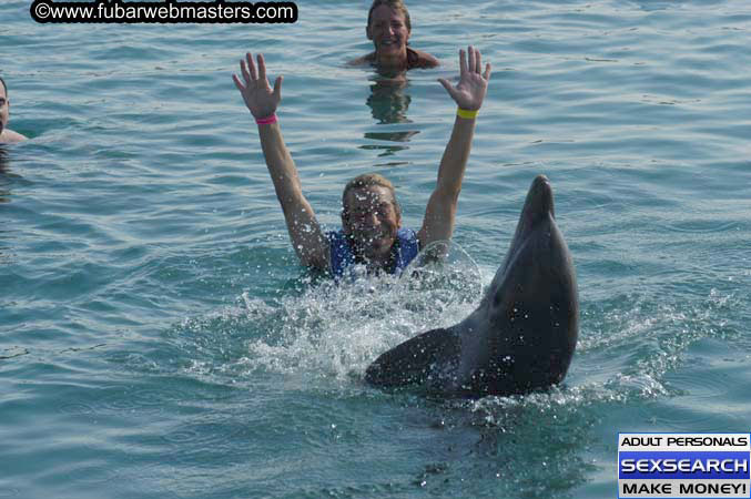 Local Billing Dolphin Encounter and Swim 2005