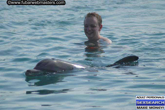 Local Billing Dolphin Encounter and Swim 2005