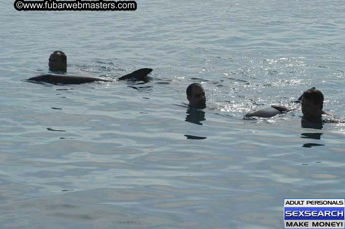 Local Billing Dolphin Encounter and Swim 2005