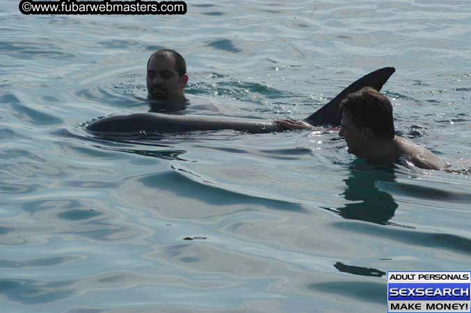 Local Billing Dolphin Encounter and Swim 2005