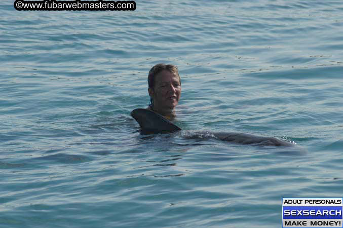 Local Billing Dolphin Encounter and Swim 2005