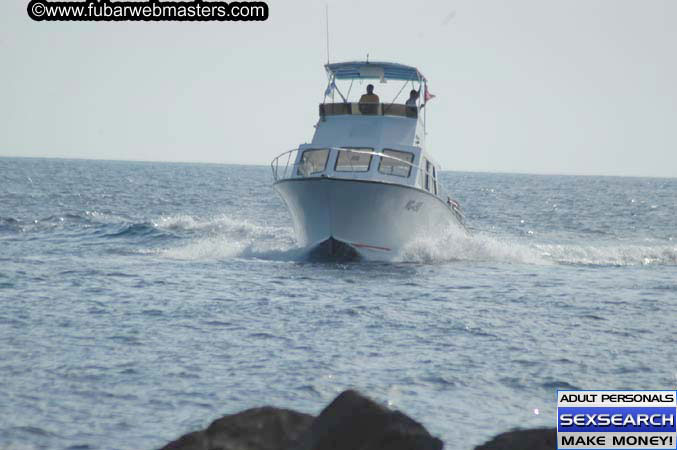 Local Billing Dolphin Encounter and Swim 2005