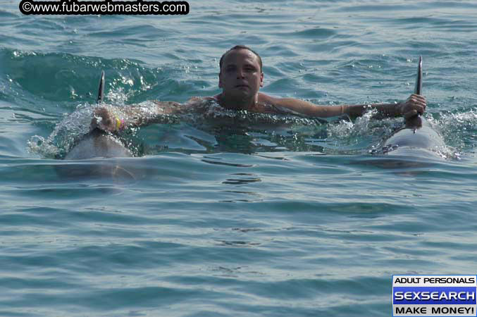 Local Billing Dolphin Encounter and Swim 2005