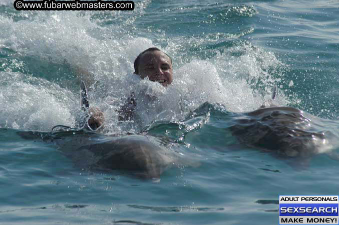 Local Billing Dolphin Encounter and Swim 2005