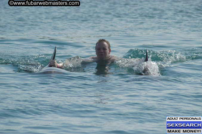 Local Billing Dolphin Encounter and Swim 2005