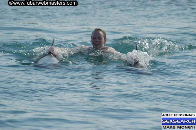 Local Billing Dolphin Encounter and Swim 2005