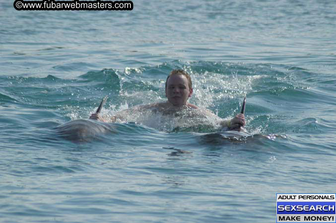 Local Billing Dolphin Encounter and Swim 2005