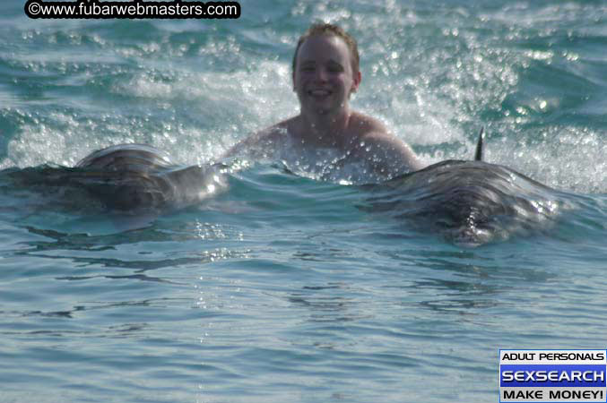 Local Billing Dolphin Encounter and Swim 2005