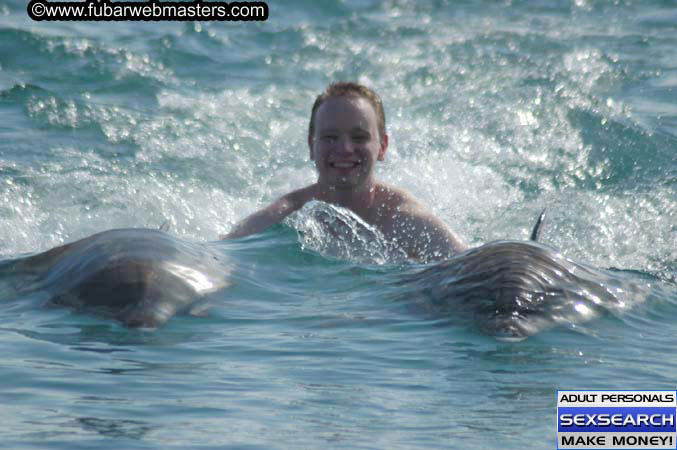 Local Billing Dolphin Encounter and Swim 2005