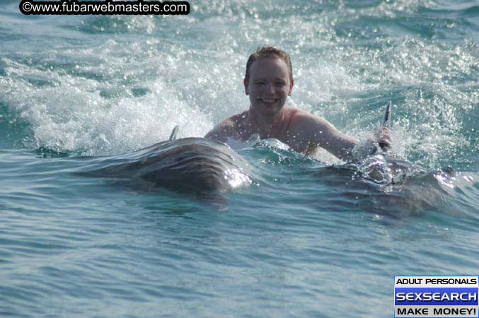 Local Billing Dolphin Encounter and Swim 2005