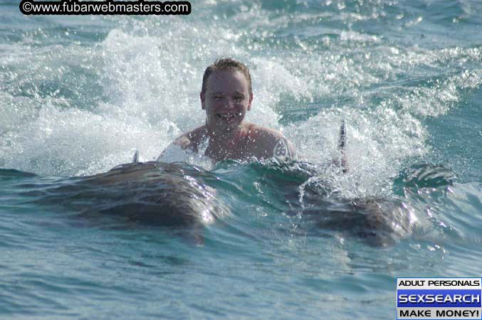 Local Billing Dolphin Encounter and Swim 2005