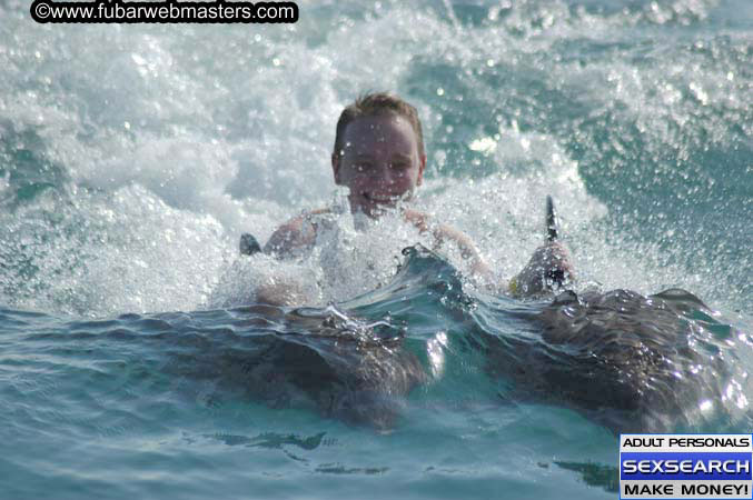 Local Billing Dolphin Encounter and Swim 2005