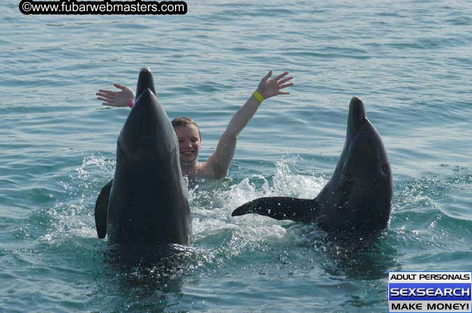 Local Billing Dolphin Encounter and Swim 2005