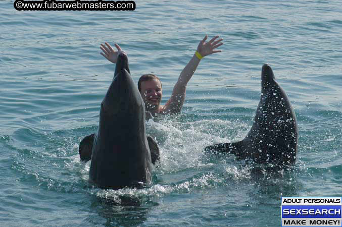 Local Billing Dolphin Encounter and Swim 2005