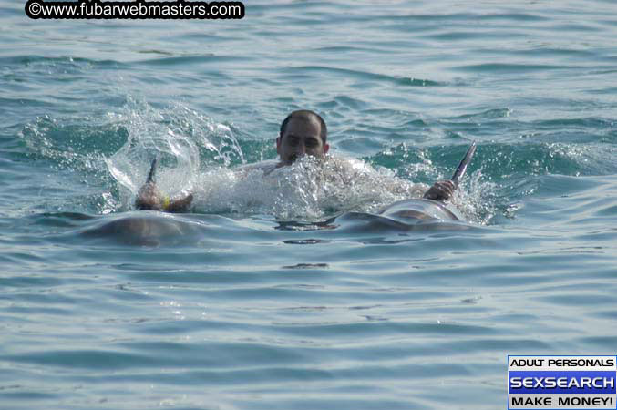 Local Billing Dolphin Encounter and Swim 2005