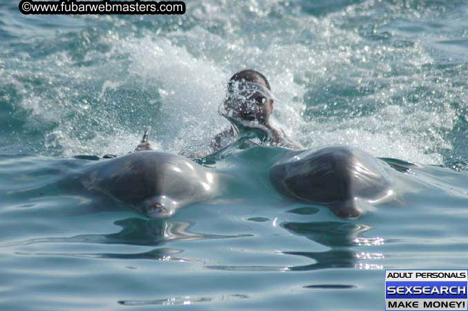 Local Billing Dolphin Encounter and Swim 2005