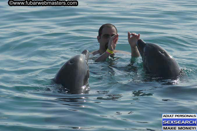 Local Billing Dolphin Encounter and Swim 2005